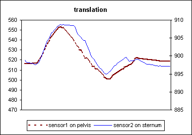 pelvic & sternal translation